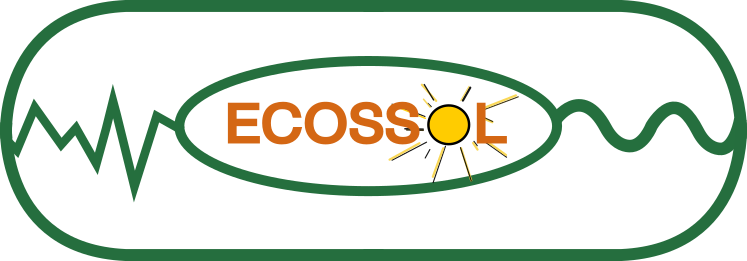 Inversor de Corriente 12V - 220V Ecosol