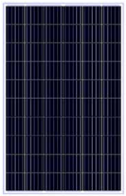 Panel Solar 260W, Policristalino, 30/37 VDC, 1640 x 992 x 30.mm. Netion